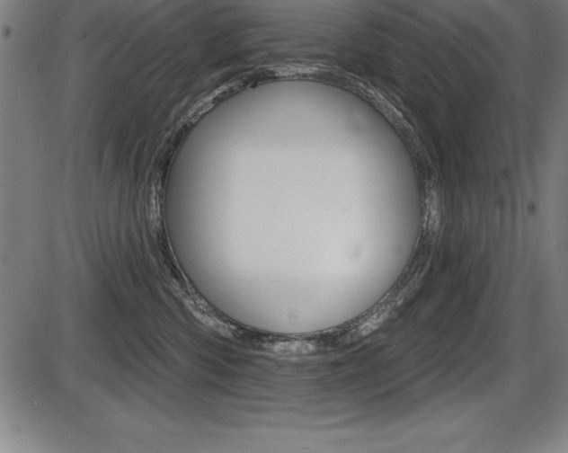 X0000087630426200705030732