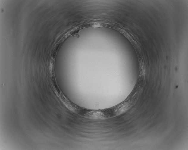 X0000087630427200705030732