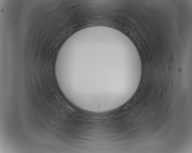 X0000087630428200705030732
