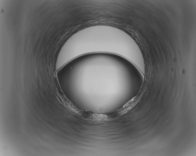 X0000087630429200705030732