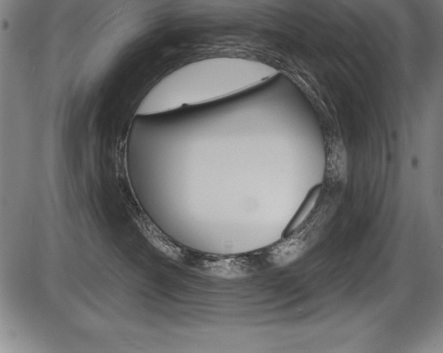 X0000087630430200705030732