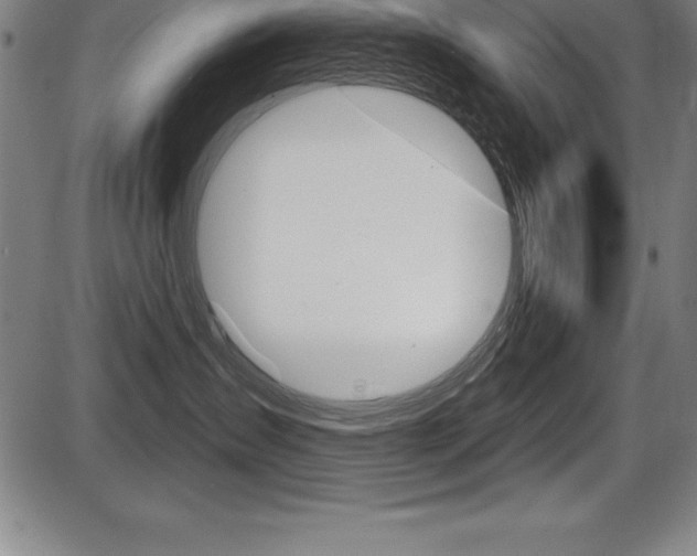 X0000087630431200705030732