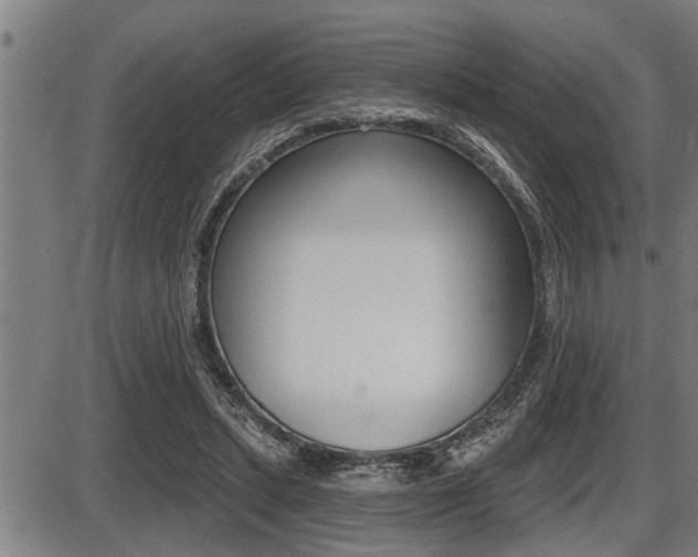 X0000087630447200705030731