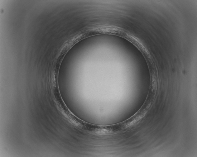 X0000087630453200705030731