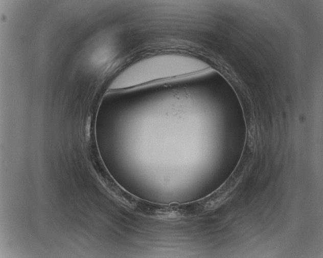 X0000087630454200705030731