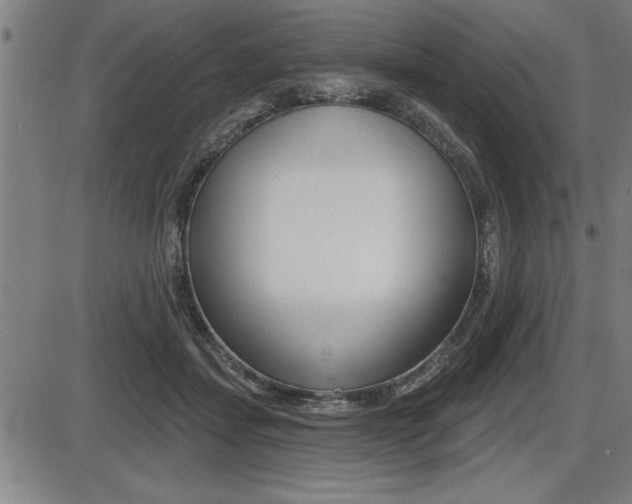 X0000087630459200705030731