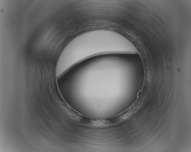 X0000087630461200705030731