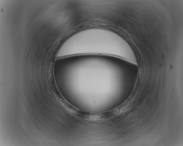 X0000087630462200705030731