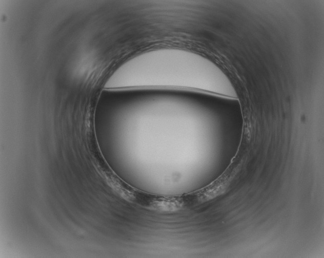 X0000087630466200705030732