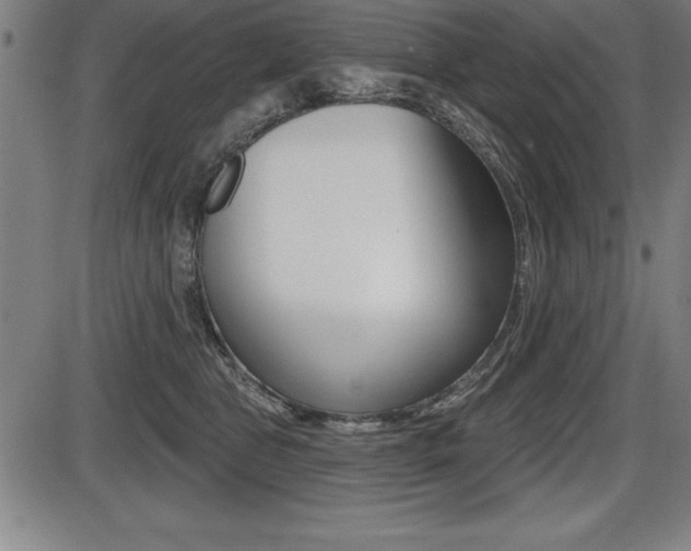 X0000087630469200705030732