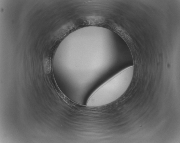 X0000087630471200705030732