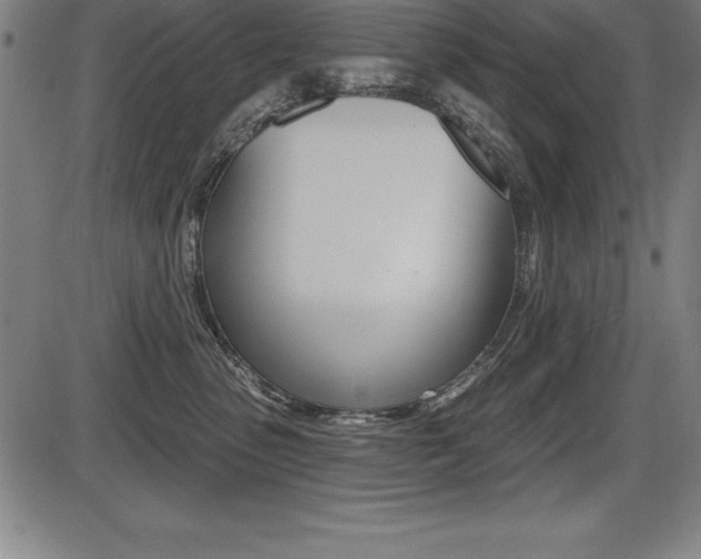 X0000087630475200705030732