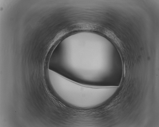 X0000087630483200705030731