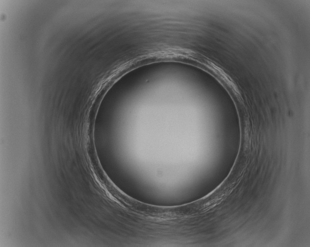 X0000087630485200705030731