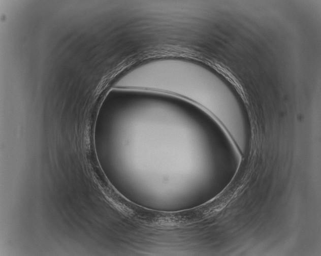 X0000087630489200705030731