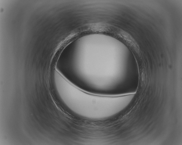 X0000087630492200705030731