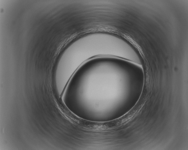 X0000087630493200705030731