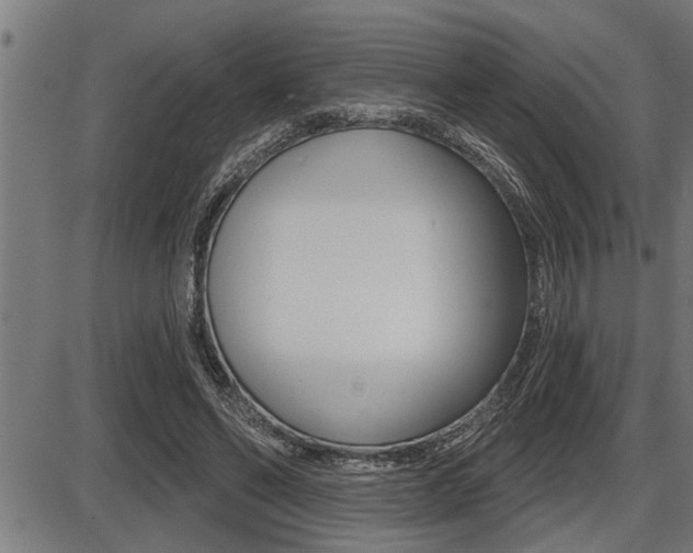 X0000087630494200705030731