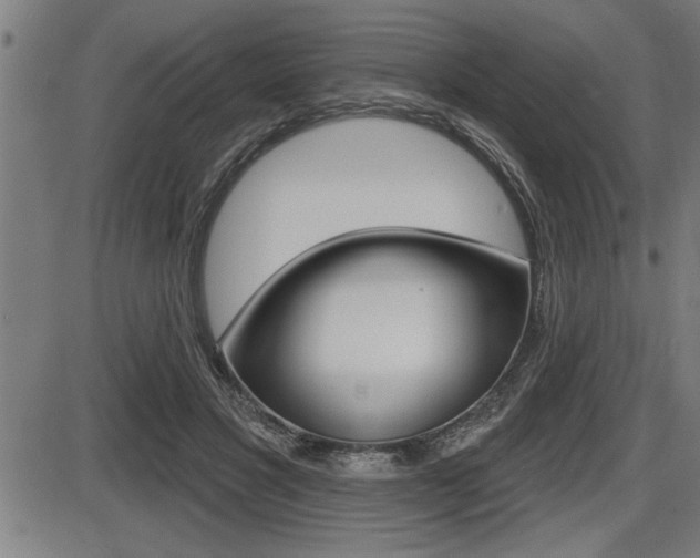 X0000087630501200705030731