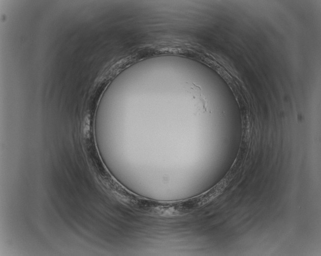 X0000087630502200705030731