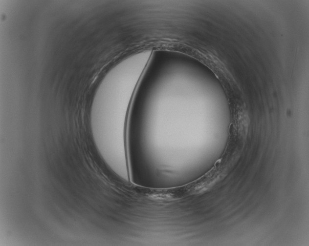 X0000087630508200705030731