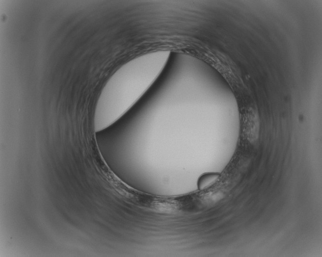 X0000087630510200705030730