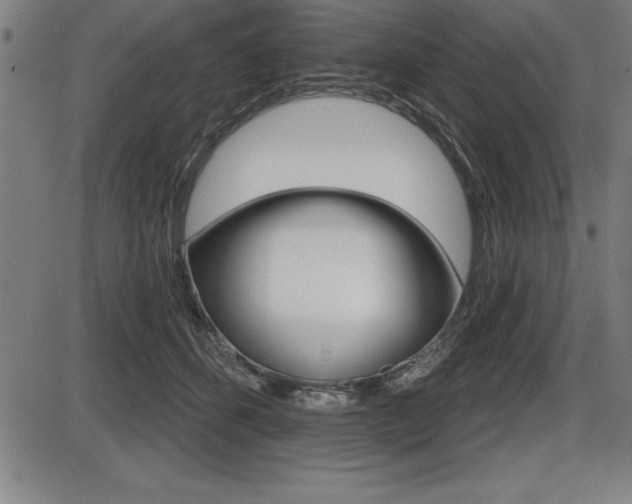 X0000087630512200705030730