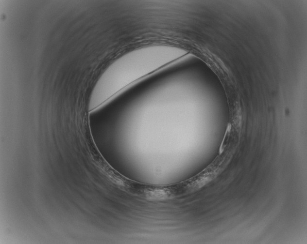 X0000087630513200705030730