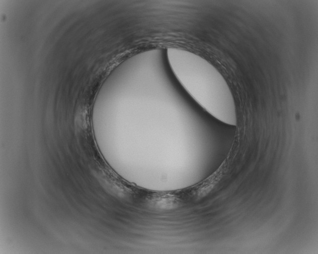 X0000087630514200705030730