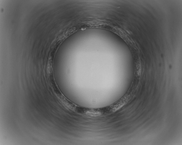 X0000087630515200705030730