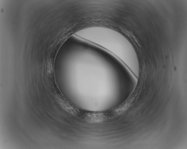 X0000087630517200705030730