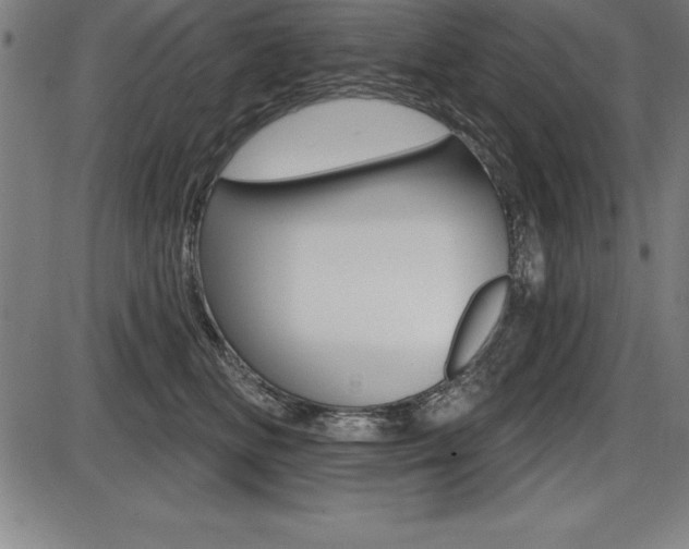 X0000087630518200705030730