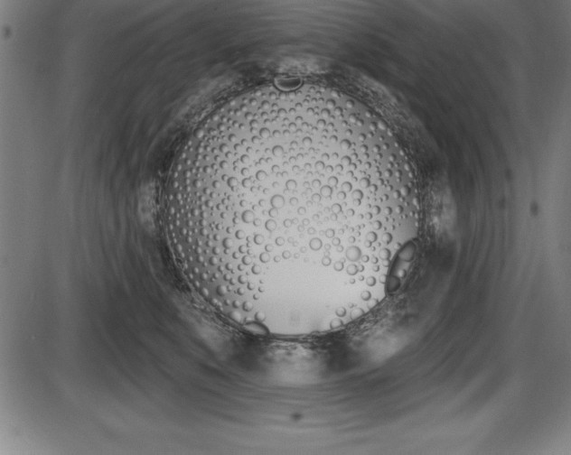 X0000087630519200705030730
