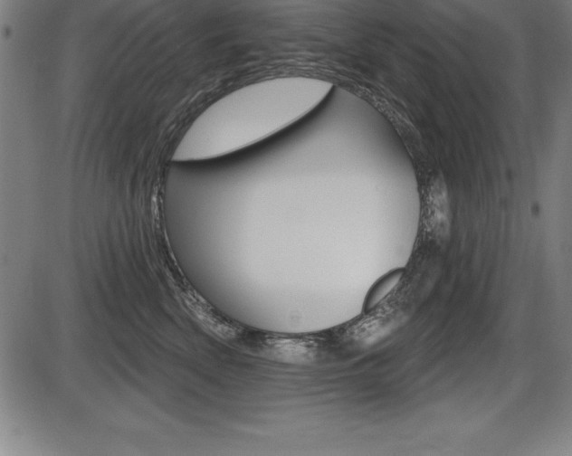X0000087630522200705030730
