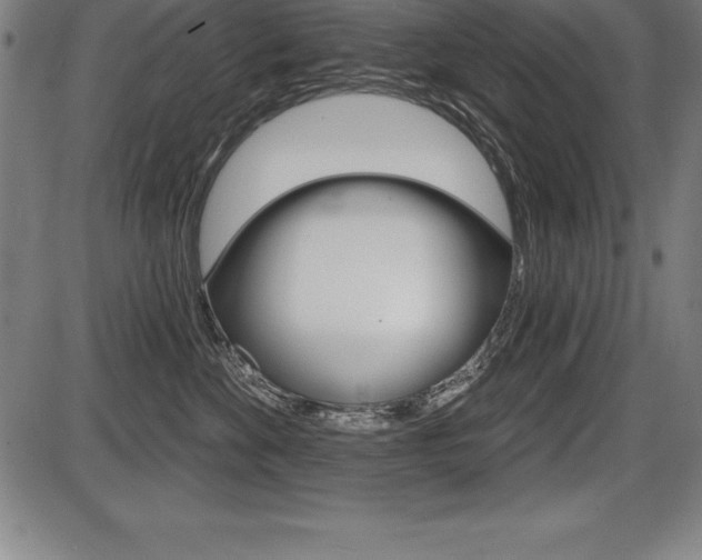 X0000087630524200705030730