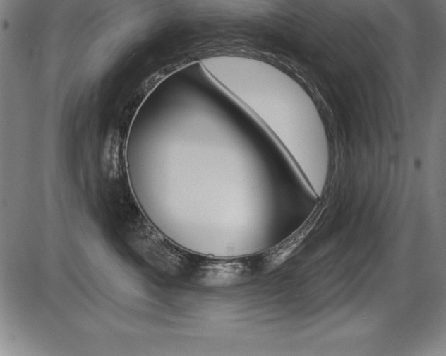 X0000087630525200705030730