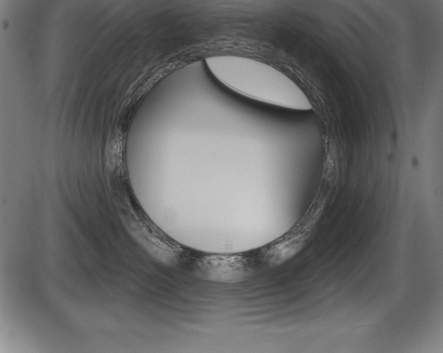 X0000087630526200705030730