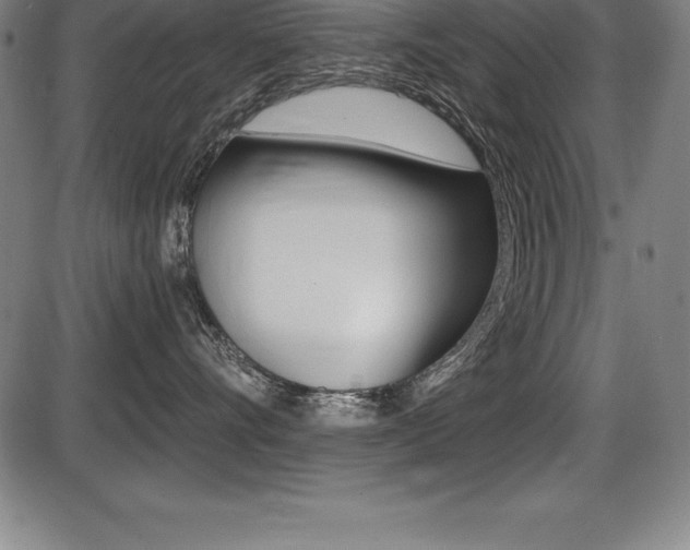 X0000087630528200705030730