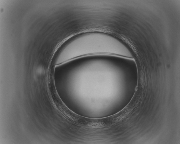 X0000087630536200705030730