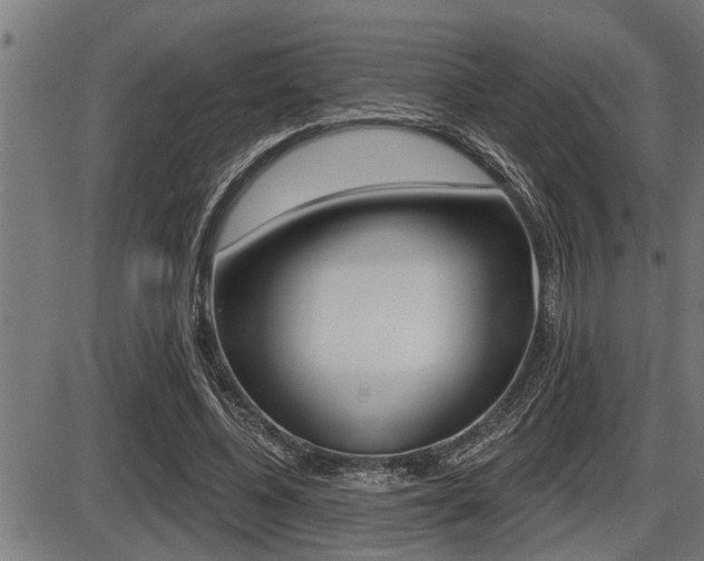 X0000087630540200705030730