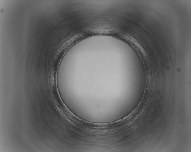 X0000087630541200705030730