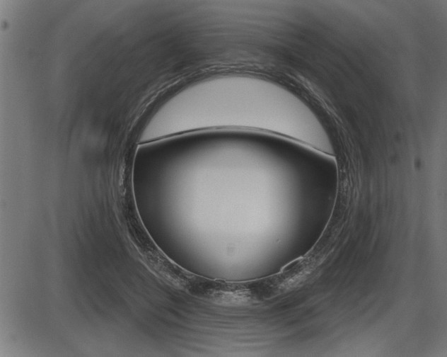 X0000087630548200705030730