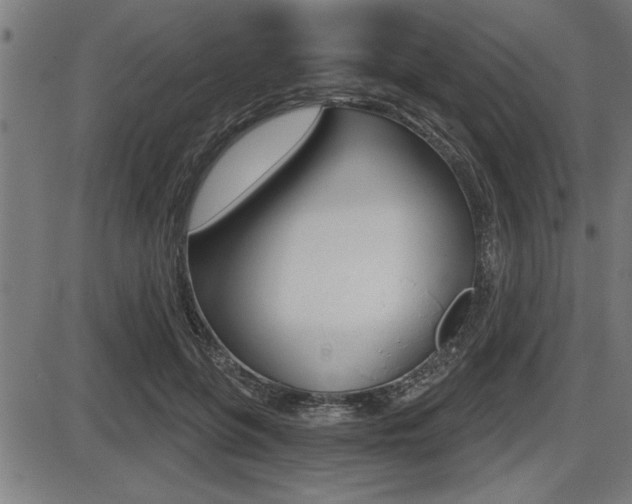 X0000087630551200705030730