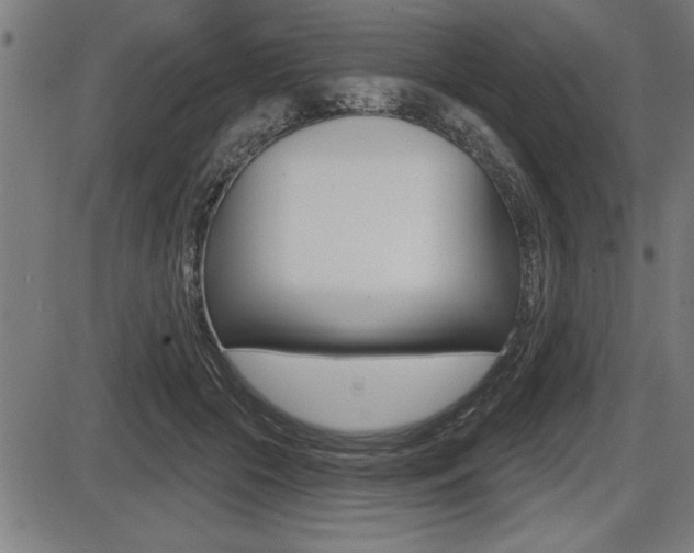 X0000087630553200705030730
