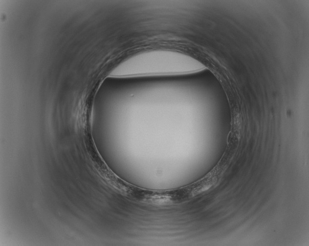 X0000087630554200705030730