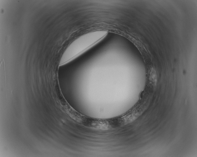 X0000087630559200705030730