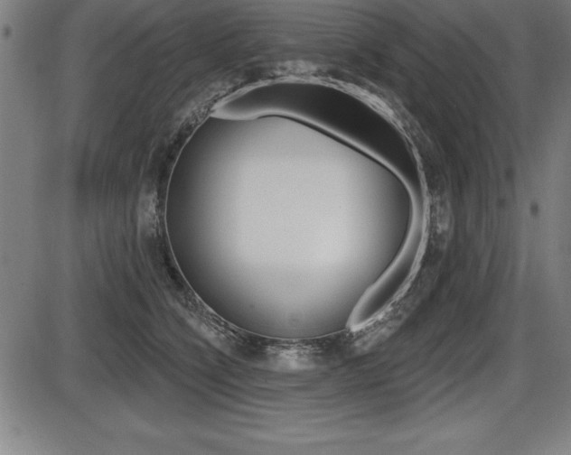 X0000087630564200705030730