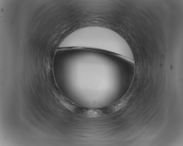 X0000087630566200705030730