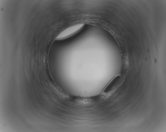 X0000087630567200705030730