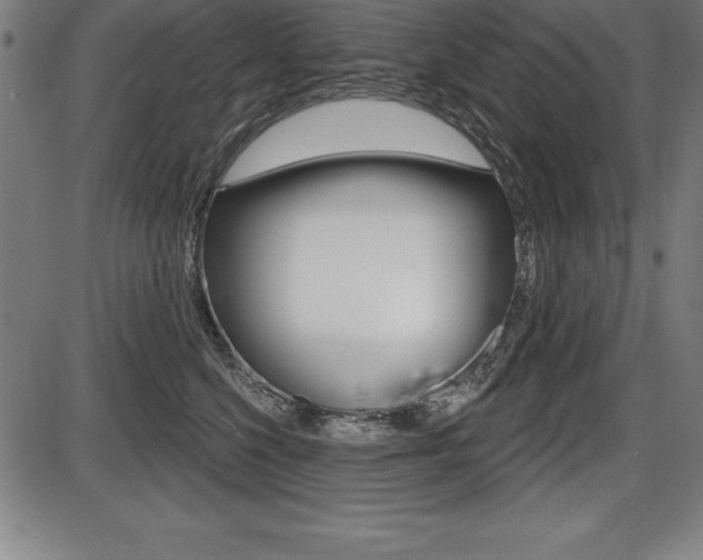X0000087630568200705030730